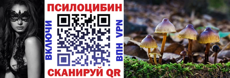 Галлюциногенные грибы мухоморы  где можно купить наркотик  Сунжа 